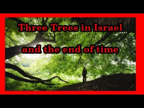 Three Trees in Israel and the end of time