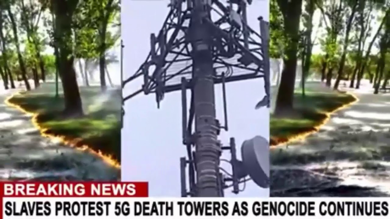 BIRDS ATTACK 5G KILLER TOWER