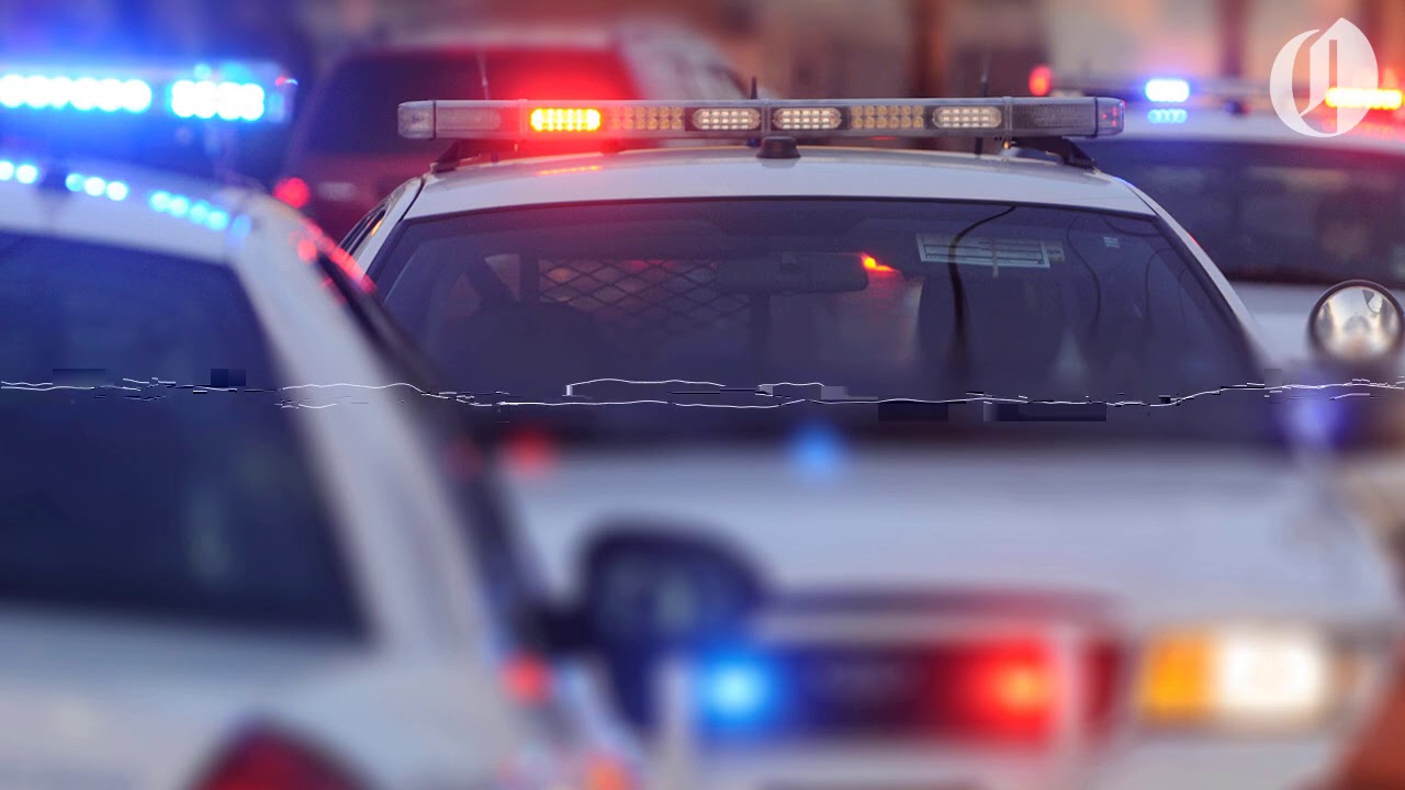 Portland Commissioner Jo Ann Hardesty, Lyft driver call 911 during ride cut short